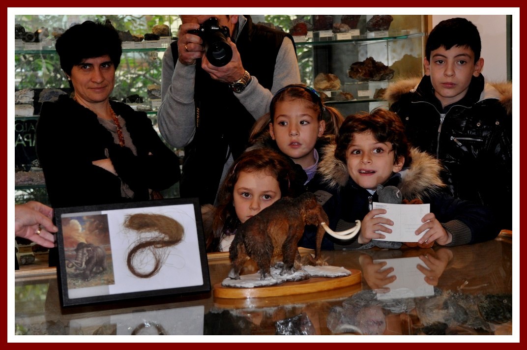 museo mineralogico Discepolo - Vico Equense